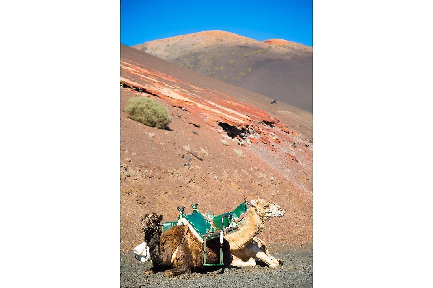 Villa Asomada La Asomada  La Asomada (Lanzarote)